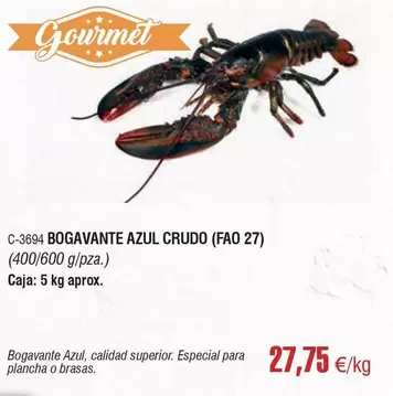 Gourmet - Bogavante Azul Crudo