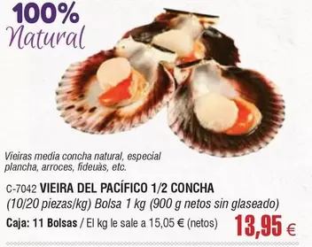 Vieira Del Pacifico 1/2 Concha