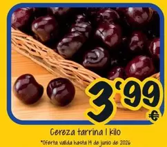 Cereza Tarrina I Kilo