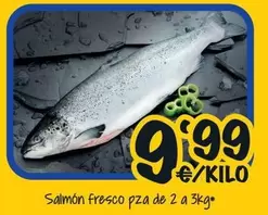 Salmón Fresco