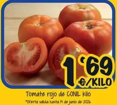 Tomate Rojo De Conil