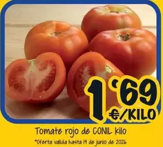 Tomate Rojo De Conil
