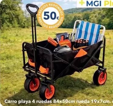 Carro Playa 4 Ruedas