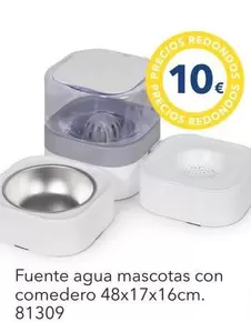Fuente Agua Mascotas Con Comedero