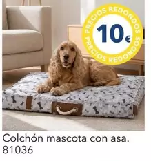 Colchón Mascota Con Asa