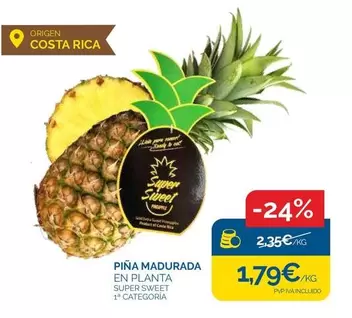 origen - Pina Madurada En Planta Super Sweet