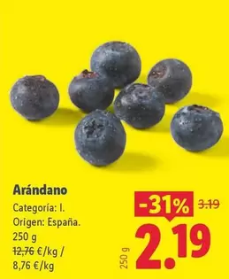 Arándano