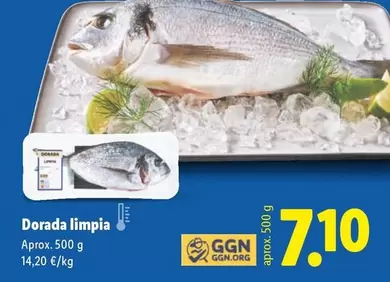 Dorada Limpia