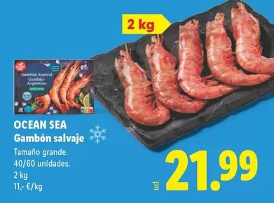 Ocean Sea - Gambon Salvaje