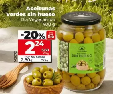 Dia Vegecampo - Aceitunas Verdes Sin Hueso