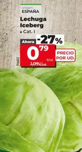 Lechuga Iceberg