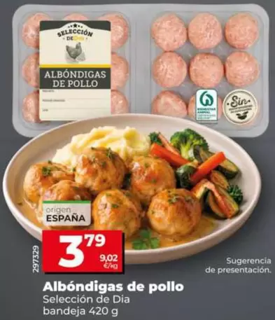 Seleccion De Dia - Albondigas De Pollo 