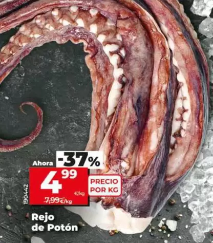 Rejo De Potón