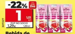 Dia Saborfera - Bebida De Fruta Y Leche De Melon Y Sandia Sin Azucares Anadidos 