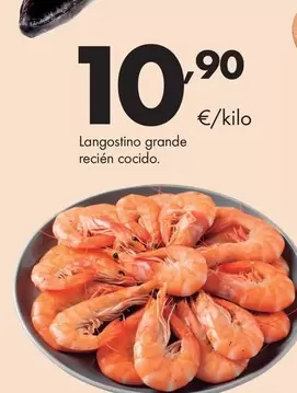 Langostino Grande Recien Cocido