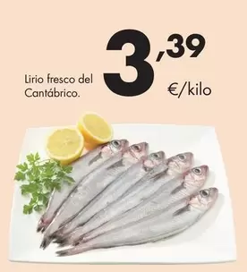 Lirio Fresco Del Cantabrico