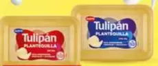 Tulipán - Plantequilla Sin Sal/Con Sal