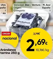 origen - Arándanos Tarrina