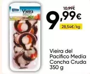 Vieira Del Pacifico Concha Cruda