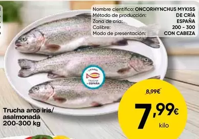 Arco Iris - Mykiss De Cria