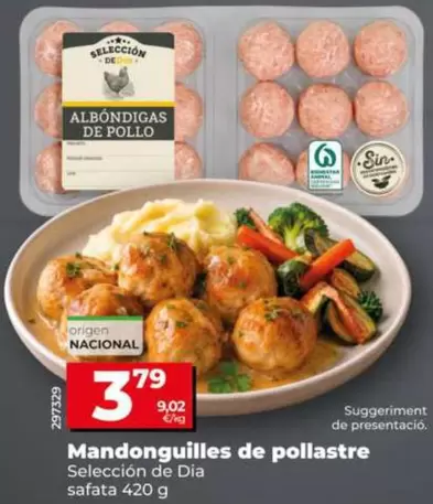 Seleccion De Dia - Albondigas De Pollo
