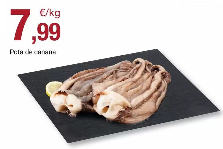 Pota De Canana