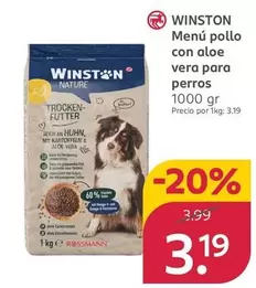 Winston - Menú Pollo Con Aloe Vera Para Perros