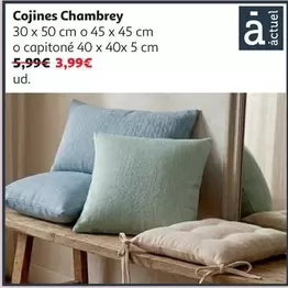 Cojines Chambray