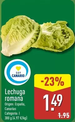 Soy Canario - Lechuga Romana