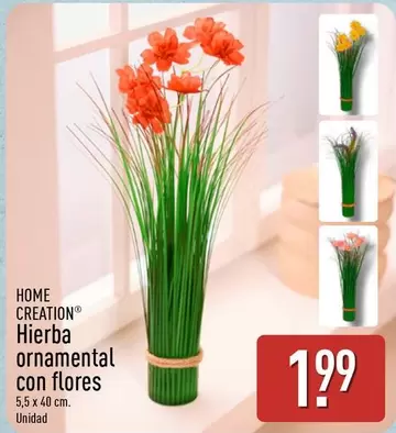 Home Creation - Hierba Ornamental Con Flores