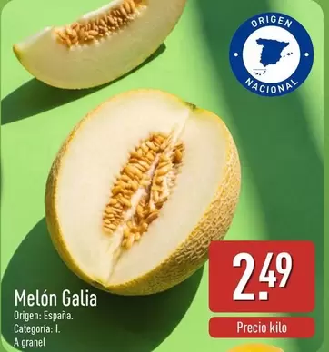 Melon Galia