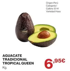 Tropical - Aguacate Tradicional  Queen