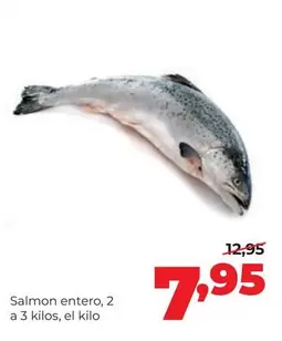 Salmon Entero