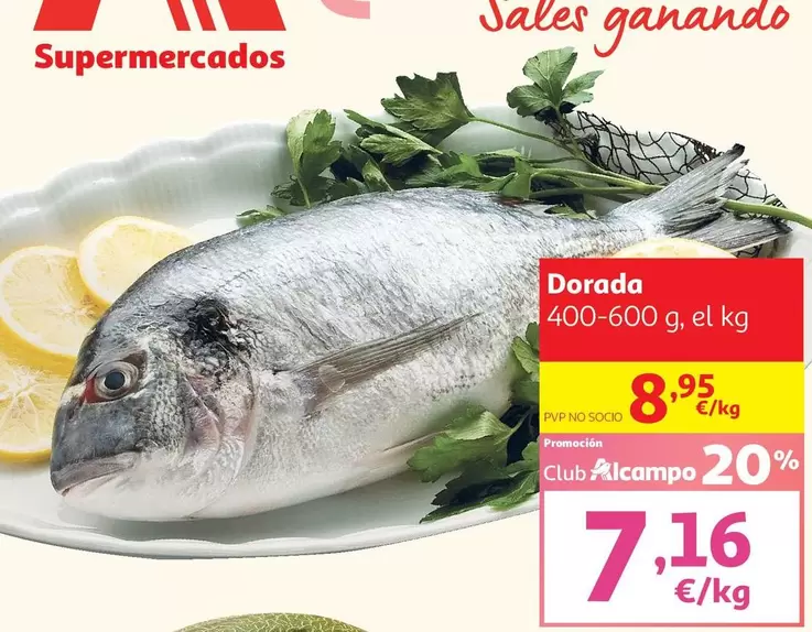 Dorada
