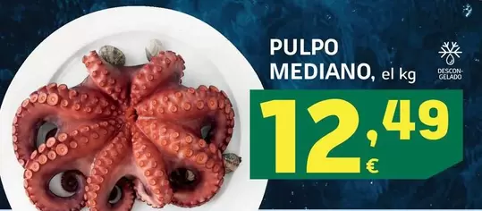 Pulpo Mediano