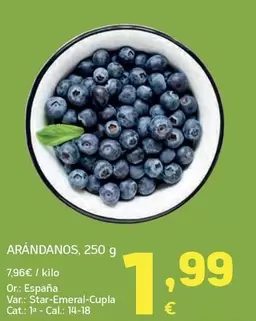 España - Arándanos