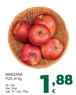 Fuji - Manzana