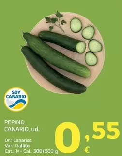 Pepino Canario