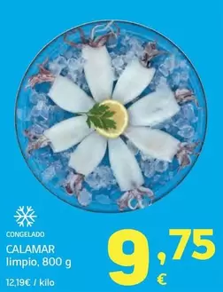 Calamar Limpio