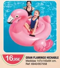 Flamingo - Gran Hichable