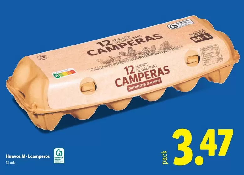 Huevos M-L Camperos