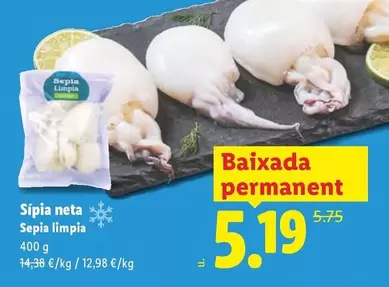 Sípia Neta