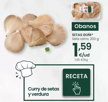Setas Goñi - Seta Ostra