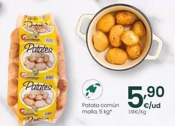 Patata Común
