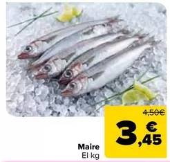 Maire