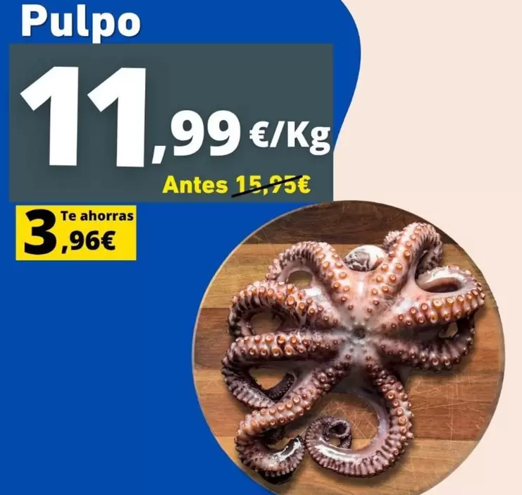 Pulpo