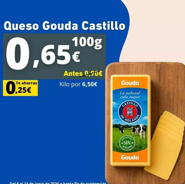 Castillo De Holanda - Queso Gouda