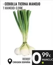 Cebolla Tierna Manojo Origen España