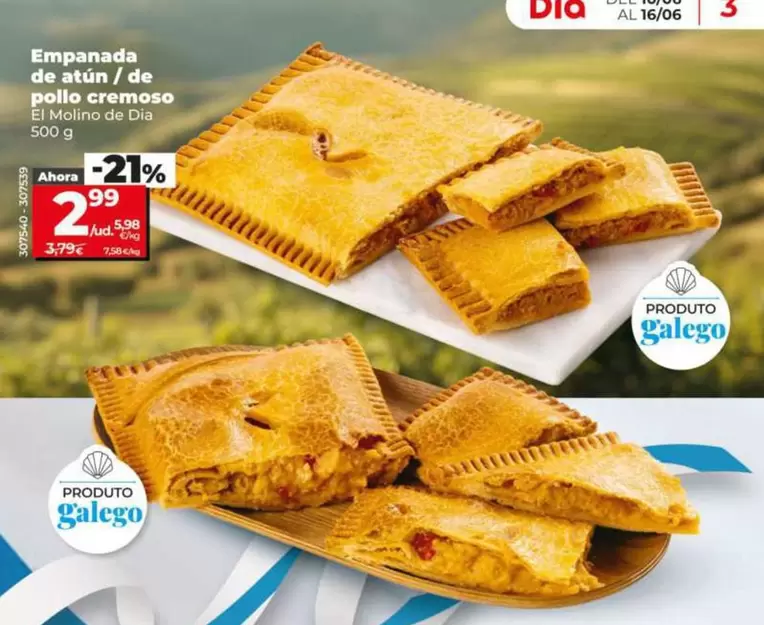 El Molino De Dia - Empanada De Atun/De Pollo Cremoso