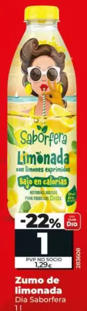 Dia Saborfera - Zumo De Limonada